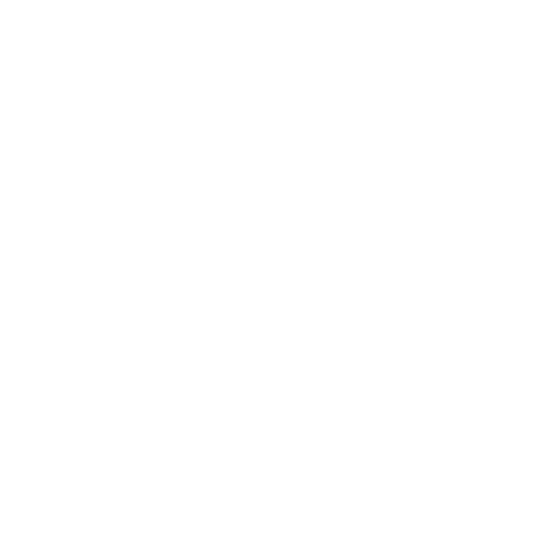 Analytics icon